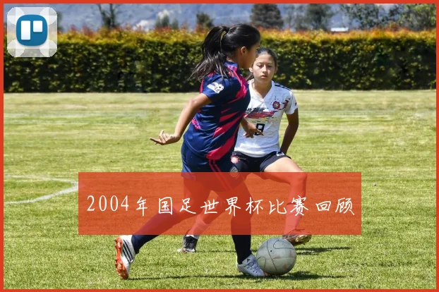 2004年国足世界杯比赛回顾
