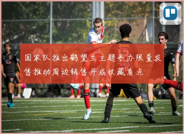 国家队推出鹤望兰主题手办限量发售推动周边销售并成收藏看点