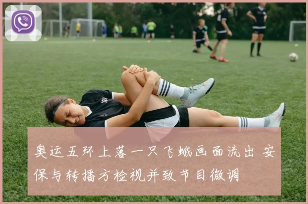 奥运五环上落一只飞蛾画面流出 安保与转播方检视并致节目微调