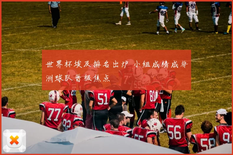 世界杯埃及排名出炉 小组成绩成非洲球队晋级焦点