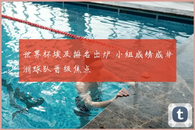 世界杯埃及排名出炉 小组成绩成非洲球队晋级焦点